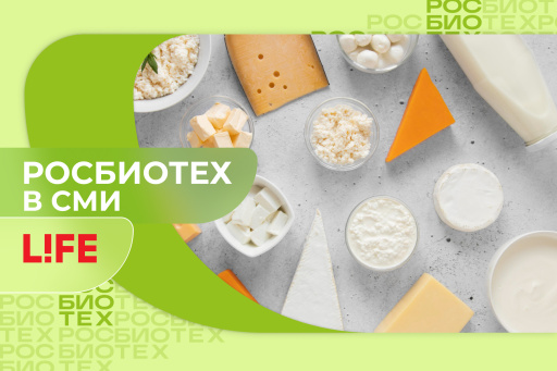 Доцент РОСБИОТЕХа объяснила, как хранить молочные продукты в жару