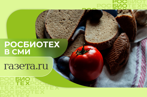 Россиянам объяснили, почему сейчас не найти хлеб, как в СССР