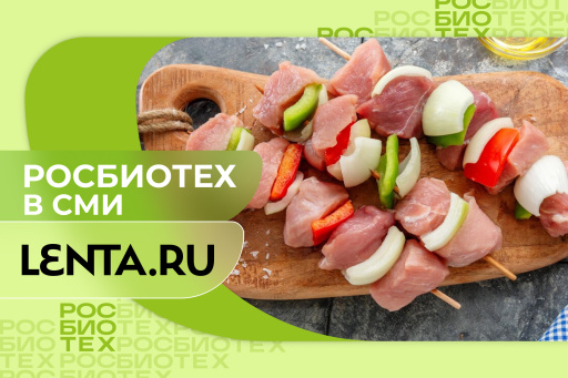 Эксперт РОСБИОТЕХа рассказал о рецептах маринада для шашлыка