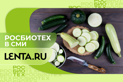 Россиян предупредили о вреде закусок из кабачков