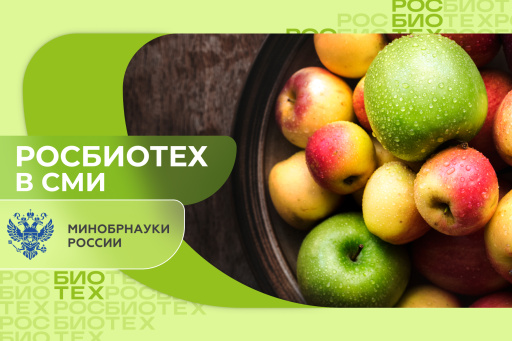 Доцент РОСБИОТЕХа рассказал, что влияет на цвет яблок