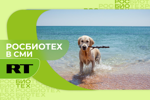 Доцент РОСБИОТЕХа предупредила об опасностях для питомцев на пляже