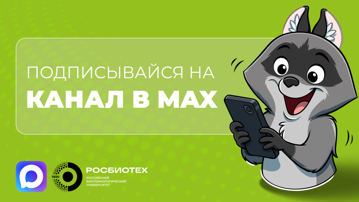 Мессенджер Макс