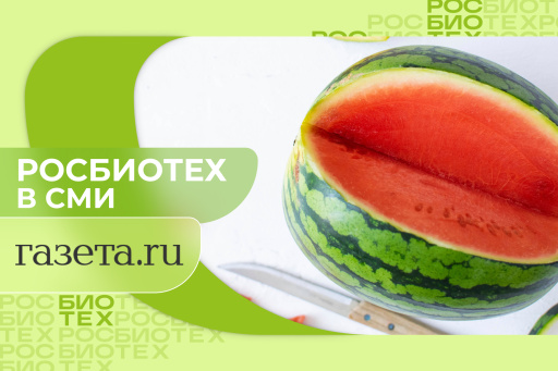 Россиянам объяснили, как определить, что в арбузе много химии