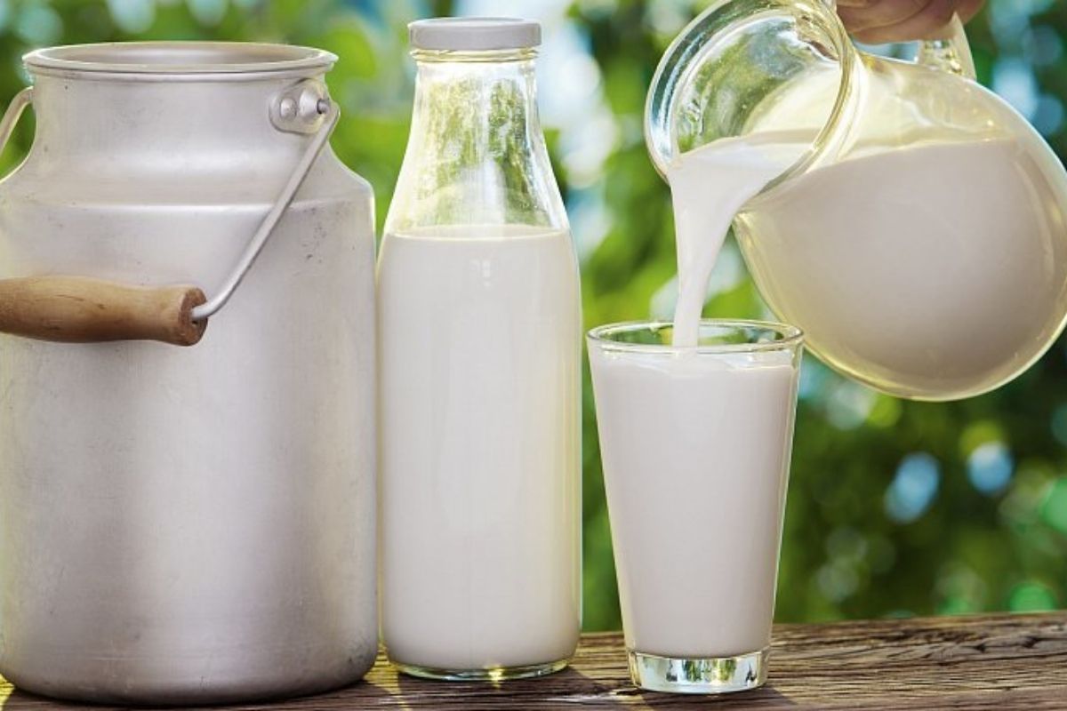 Компания Friesland Campina выступит на Дне карьеры МГУПП Компания Friesland Campina выступит на Дне карьеры МГУПП