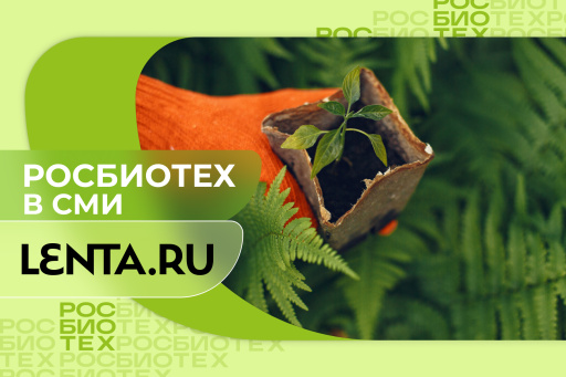 Россиян предупредили об опасных для здоровья растениях