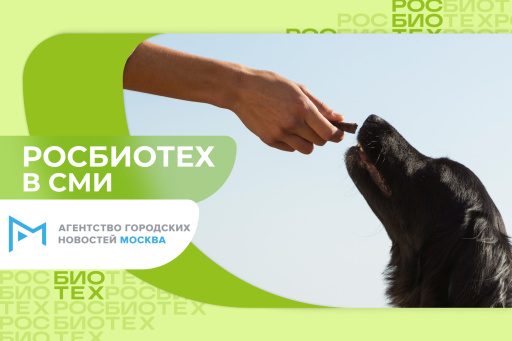Профессор РОСБИОТЕХа назвал продукты, которые ни в коем случае нельзя давать собакам