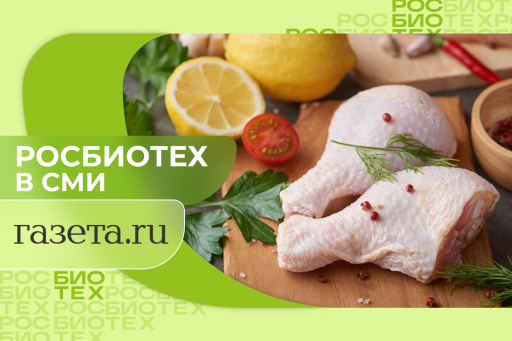 Россиянам объяснили, почему нельзя мыть курицу перед готовкой