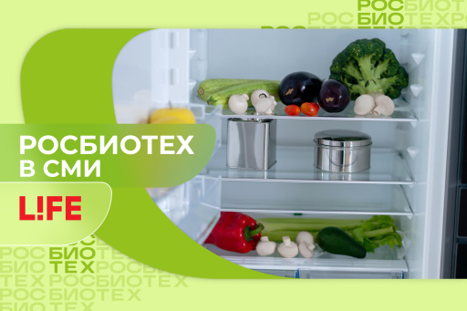 Доцент РОСБИОТЕХа объяснила, как часто нужно мыть холодильник 