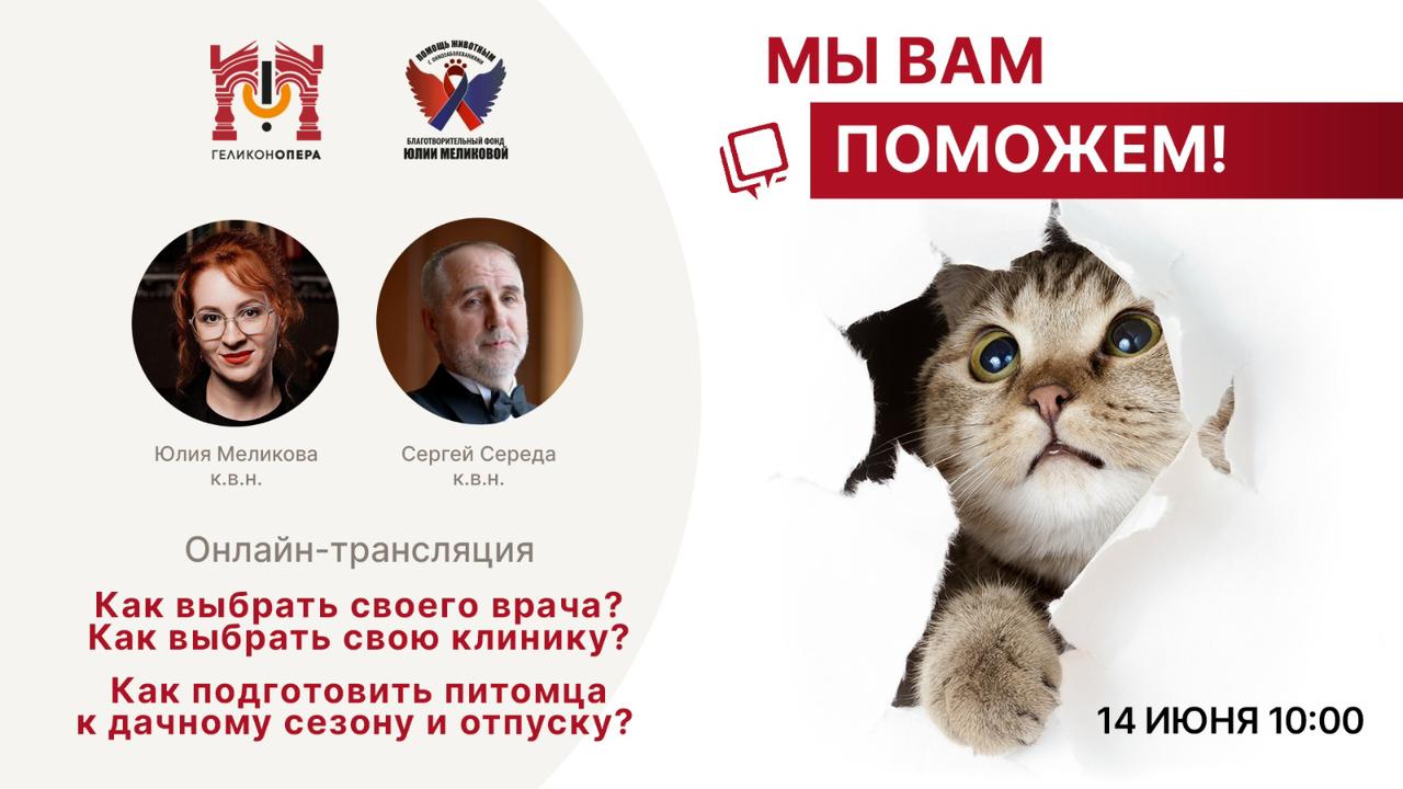 Полезная встреча для владельцев домашних животных