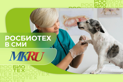 Эксперт РОСБИОТЕХа объяснила, зачем прививать питомцев до начала лета
