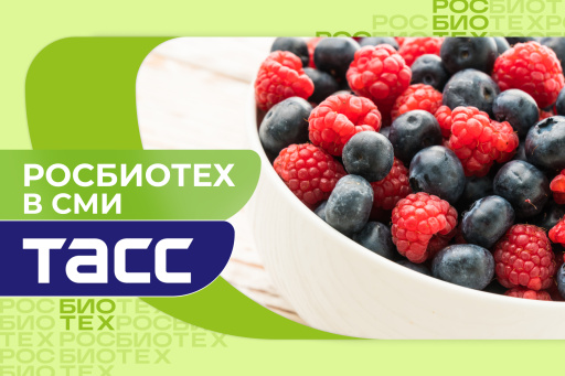 Профессор РОСБИОТЕХа рассказала о пяти полезных ягодах, которые нужно включить в рацион уже сейчас