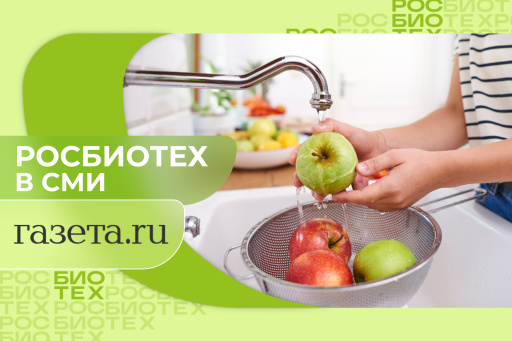 Россиянам назвали важные правила, как мыть фрукты и овощи