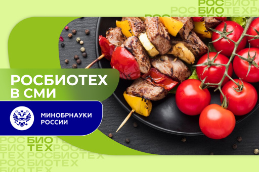 Экспер РОСБИОТЕХа раскрыл секреты вкусных маринадов для шашлыка