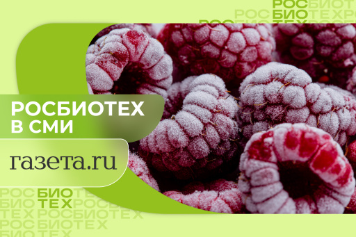 Россиянам объяснили, как правильно заморозить ягоды, чтобы они не потеряли витамины