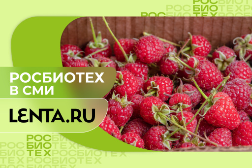 Россиян предостерегли от злоупотребления популярным летним продуктом
