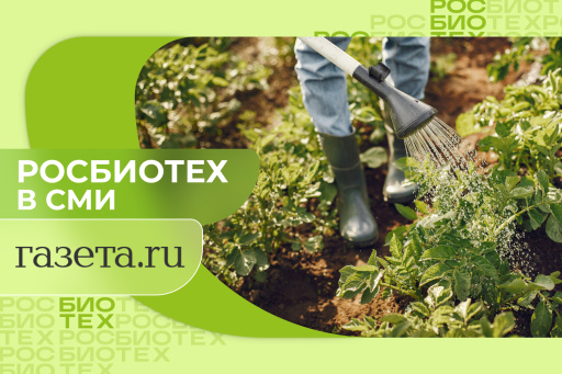 Доцент РОСБИОТЕХа дала советы, как спасти огород в жару