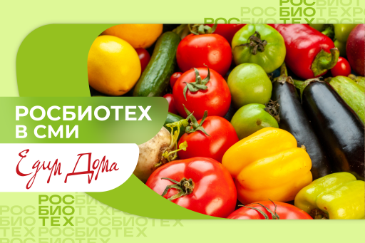 Доцент РОСБИОТЕХа рассказала, как хранить на зиму овощи