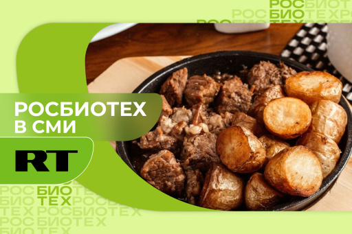 Доцент РОСБИОТЕХа назвал продукты, которые не стоит сочетать с шашлыком