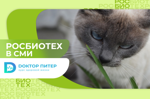Доцент РОСБИОТЕХа объяснила, почему кошки обнюхивают людей