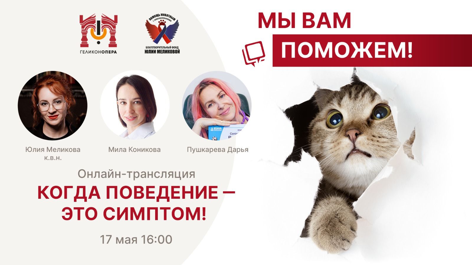 Приглашаем на встречу с экспертами-ветеринарами