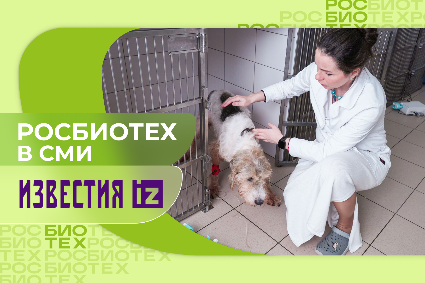 Учёные Университета РОСБИОТЕХ разработали инновационный способ лечения агрессивного рака у домашних животных Учёные Университета РОСБИОТЕХ разработали инновационный способ лечения агрессивного рака у домашних животных
