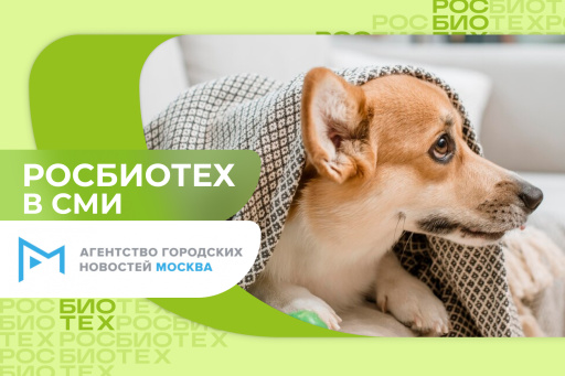 Эксперт РОСБИОТЕХа назвала симптомы головной боли у собак