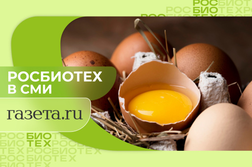 Названы реальные шансы заразиться сальмонеллезом от магазинных яиц