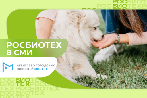 Профессор РОСБИОТЕХа объяснил, как правильно гладить собаку