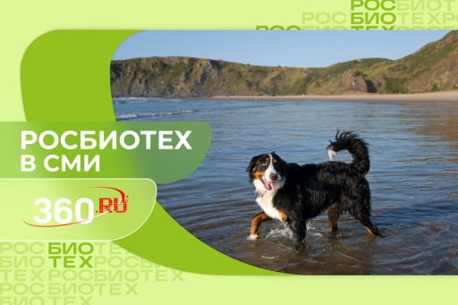 Профессор РОСБИОТЕХа объяснил, почему с собаками лучше не ходить на пляж