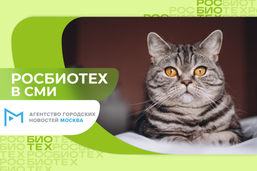 Профессор РОСБИОТЕХа рассказал, что мурлыканье кошек снижает стресс у людей