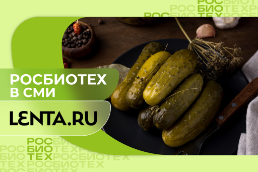Россиян предупредили об опасном влиянии соленых огурцов на здоровье