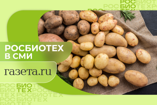 Россиян предупредили об опасности зеленого картофеля