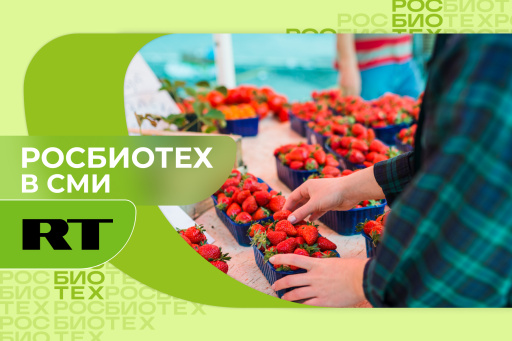 Россиян предупредили, что продаваемые у дороги фрукты и овощи могут быть опасны