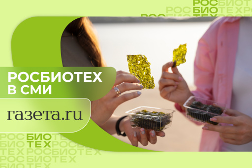 Россиянам напомнили, почему нельзя есть много чипсов из водорослей