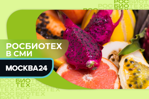 Доцент РОСБИОТЕХа объяснил, как выбрать качественные экзотические фрукты