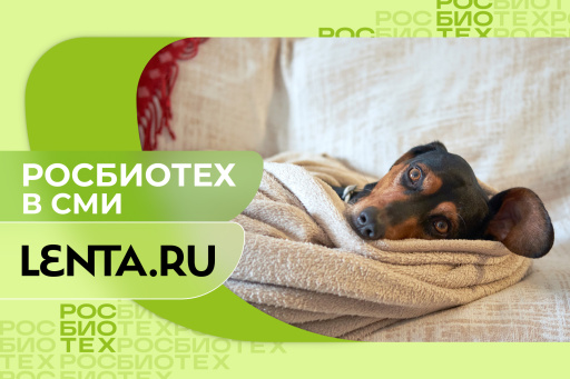Профессор РОСБИОТЕХа высказался об опасности кондиционера для домашних животных