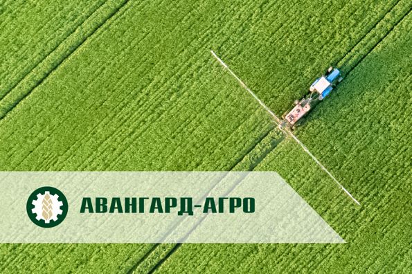 Встреча с представителями Авангард-Агро